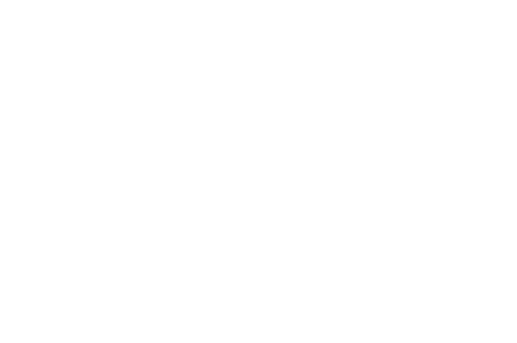 vansi logo-02