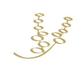 vansi icoontjes-07