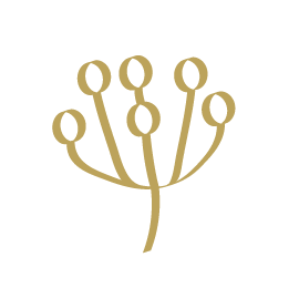 vansi icons-08